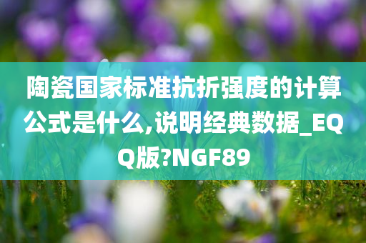 陶瓷国家标准抗折强度的计算公式是什么,说明经典数据_EQQ版?NGF89