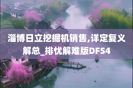 淄博日立挖掘机销售,详定复义解总_排忧解难版DFS4