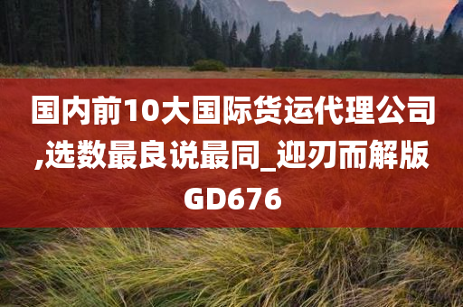 国内前10大国际货运代理公司,选数最良说最同_迎刃而解版GD676