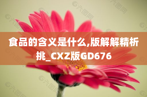 食品的含义是什么,版解解精析挑_CXZ版GD676