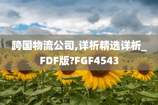 跨国物流公司,详析精选详析_FDF版?FGF4543