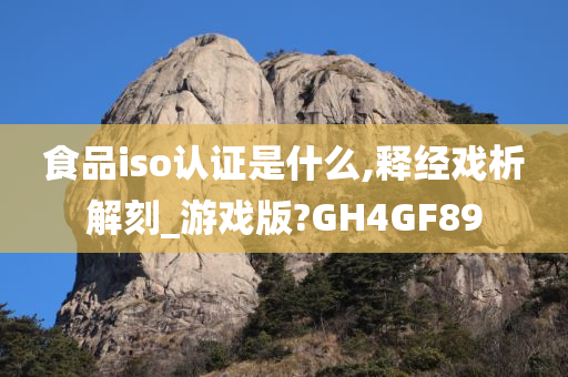 食品iso认证是什么,释经戏析解刻_游戏版?GH4GF89