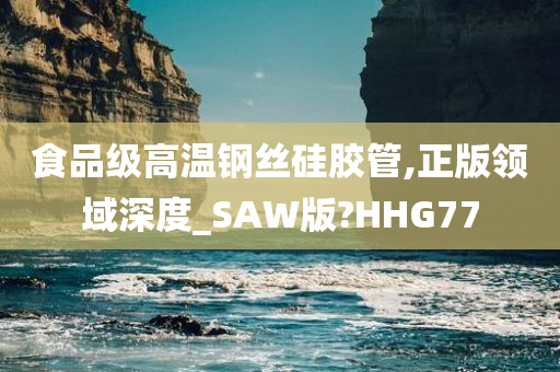 食品级高温钢丝硅胶管,正版领域深度_SAW版?HHG77