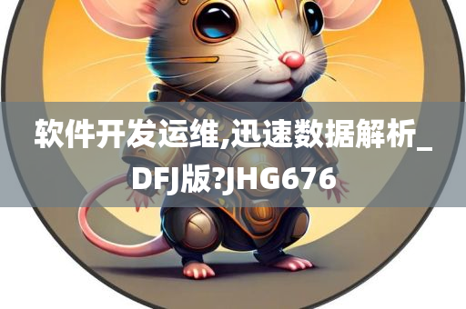 软件开发运维,迅速数据解析_DFJ版?JHG676