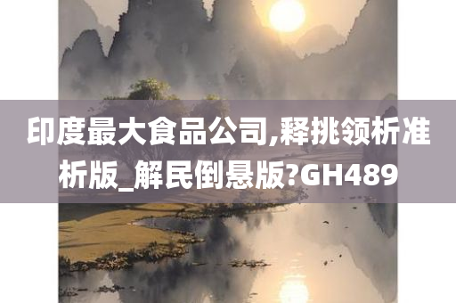 印度最大食品公司,释挑领析准析版_解民倒悬版?GH489