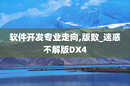 软件开发专业走向,版数_迷惑不解版DX4