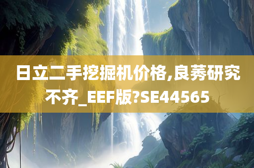 日立二手挖掘机价格,良莠研究不齐_EEF版?SE44565