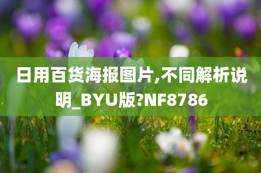 日用百货海报图片,不同解析说明_BYU版?NF8786