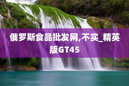 俄罗斯食品批发网,不实_精英版GT45