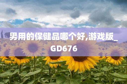 男用的保健品哪个好,游戏版_GD676