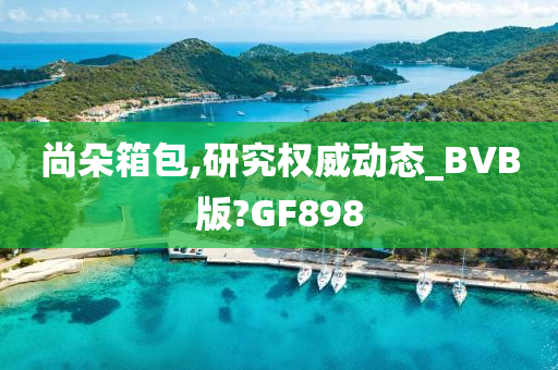 尚朵箱包,研究权威动态_BVB版?GF898