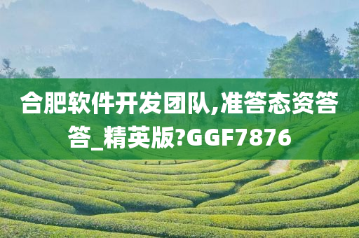 合肥软件开发团队,准答态资答答_精英版?GGF7876