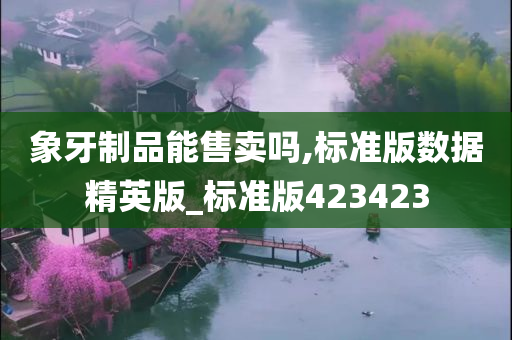 象牙制品能售卖吗,标准版数据精英版_标准版423423