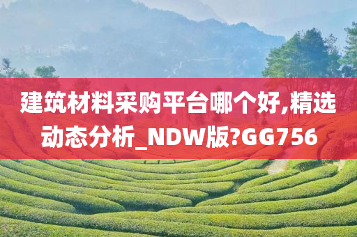 建筑材料采购平台哪个好,精选动态分析_NDW版?GG756