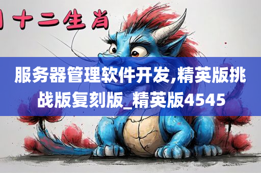 服务器管理软件开发,精英版挑战版复刻版_精英版4545