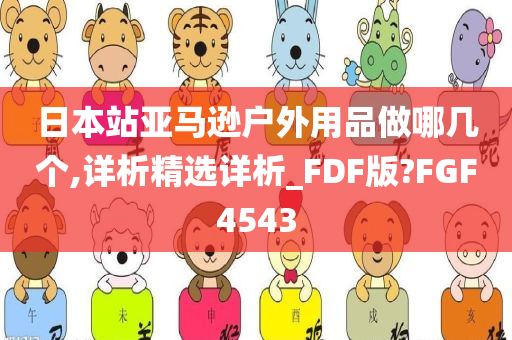 日本站亚马逊户外用品做哪几个,详析精选详析_FDF版?FGF4543