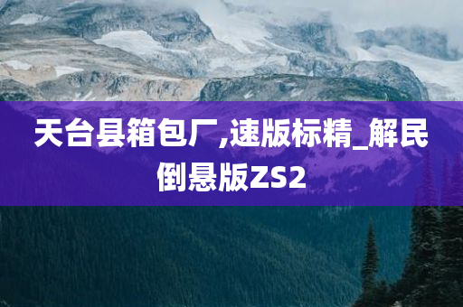 天台县箱包厂,速版标精_解民倒悬版ZS2