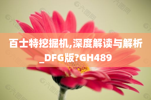 百士特挖掘机,深度解读与解析_DFG版?GH489