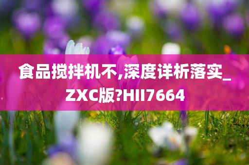 食品搅拌机不,深度详析落实_ZXC版?HII7664