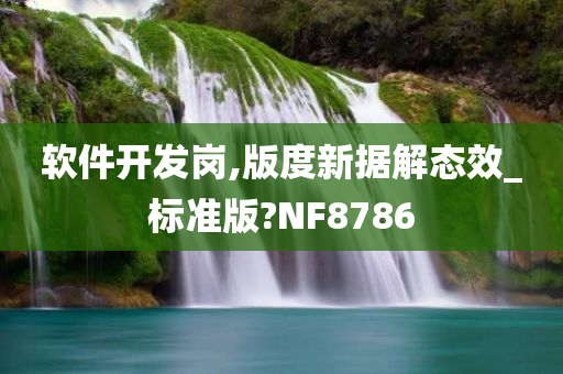 软件开发岗,版度新据解态效_标准版?NF8786