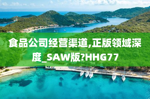 食品公司经营渠道,正版领域深度_SAW版?HHG77