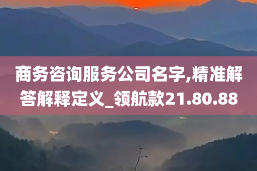 商务咨询服务公司名字,精准解答解释定义_领航款21.80.88