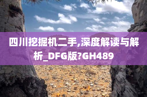 四川挖掘机二手,深度解读与解析_DFG版?GH489