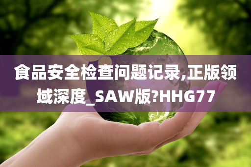 食品安全检查问题记录,正版领域深度_SAW版?HHG77