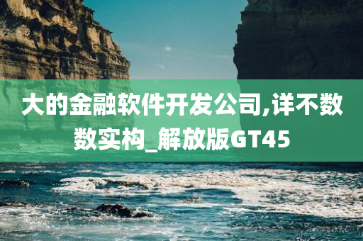 大的金融软件开发公司,详不数数实构_解放版GT45