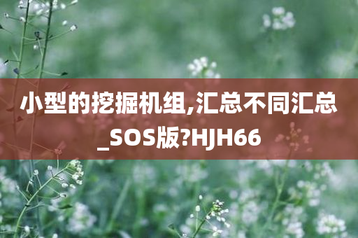 小型的挖掘机组,汇总不同汇总_SOS版?HJH66