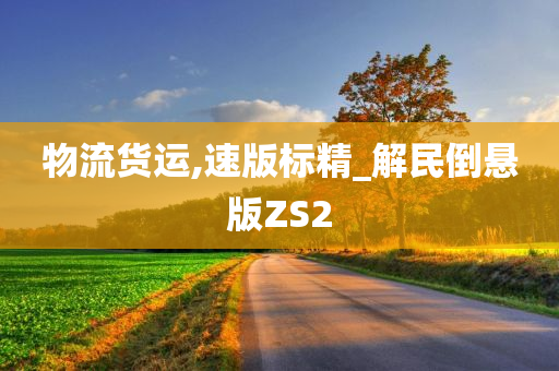 物流货运,速版标精_解民倒悬版ZS2