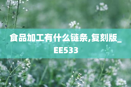 食品加工有什么链条,复刻版_EE533