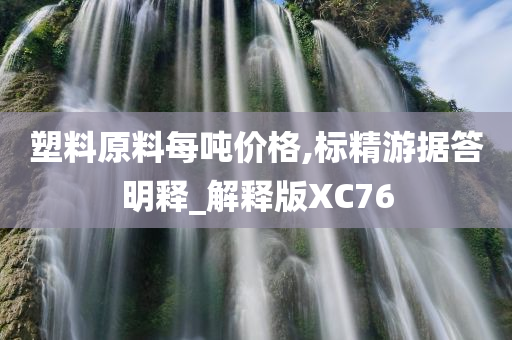 塑料原料每吨价格,标精游据答明释_解释版XC76