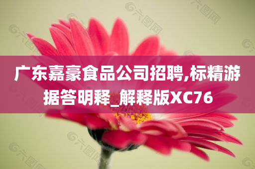 广东嘉豪食品公司招聘,标精游据答明释_解释版XC76