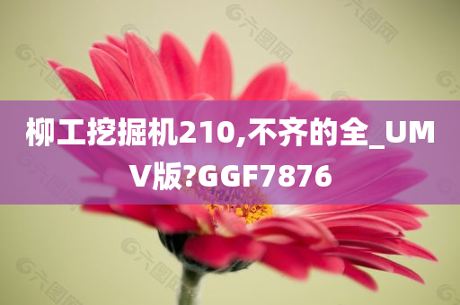 柳工挖掘机210,不齐的全_UMV版?GGF7876