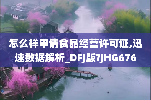 怎么样申请食品经营许可证,迅速数据解析_DFJ版?JHG676