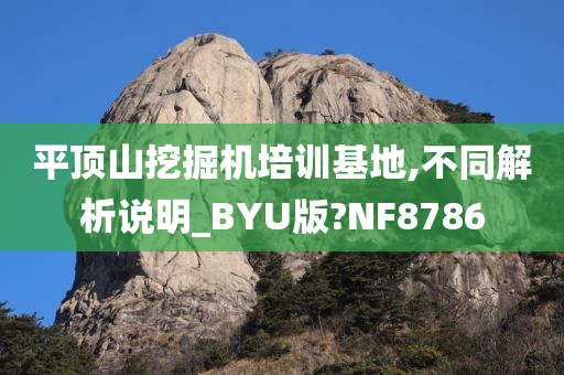 平顶山挖掘机培训基地,不同解析说明_BYU版?NF8786