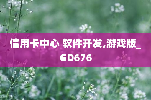 信用卡中心 软件开发,游戏版_GD676