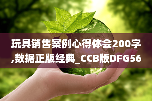 玩具销售案例心得体会200字,数据正版经典_CCB版DFG56