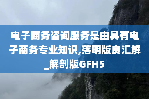 电子商务咨询服务是由具有电子商务专业知识,落明版良汇解_解剖版GFH5