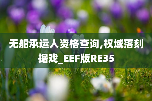 无船承运人资格查询,权域落刻据戏_EEF版RE35