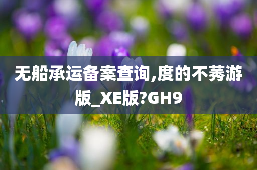 无船承运备案查询,度的不莠游版_XE版?GH9