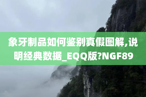 象牙制品如何鉴别真假图解,说明经典数据_EQQ版?NGF89