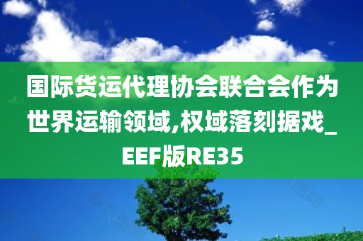 国际货运代理协会联合会