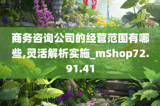 商务咨询公司的经营范围有哪些,灵活解析实施_mShop72.91.41