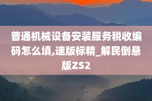 普通机械设备安装服务税收编码怎么填,速版标精_解民倒悬版ZS2