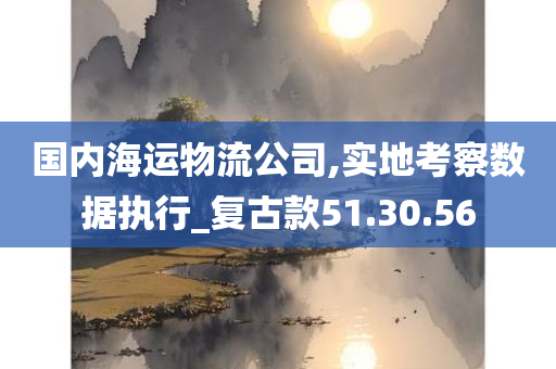 国内海运物流公司,实地考察数据执行_复古款51.30.56