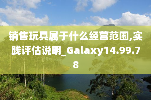 销售玩具属于什么经营范围,实践评估说明_Galaxy14.99.78