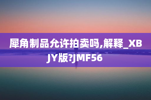 犀角制品允许拍卖吗,解释_XBJY版?JMF56