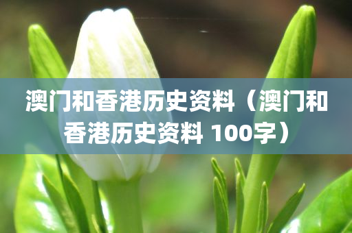 澳门和香港历史资料（澳门和香港历史资料 100字）